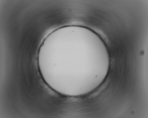 X0000101701374200808071148