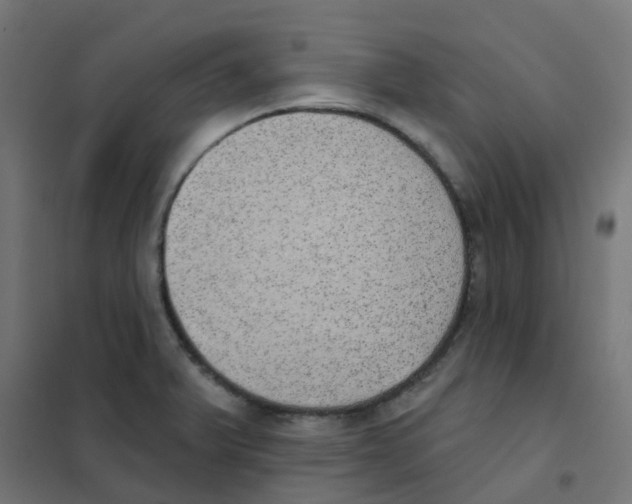 X0000101701375200808071148