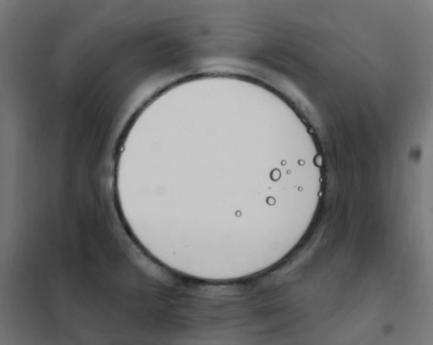 X0000101701376200808071148