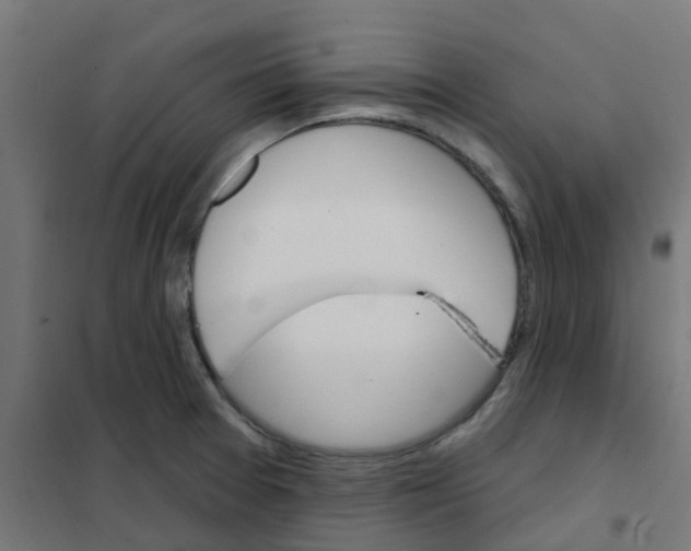 X0000101701377200808071148