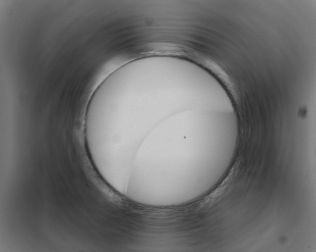 X0000101701378200808071148