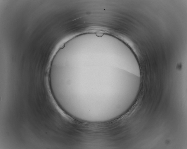 X0000101701379200808071148