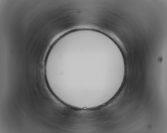 X0000101701380200808071148