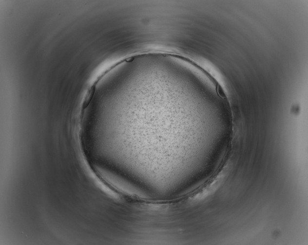 X0000101701381200808071148