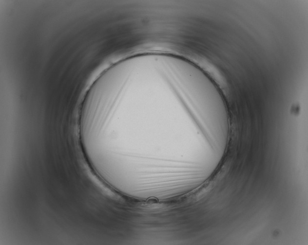 X0000101701382200808071148