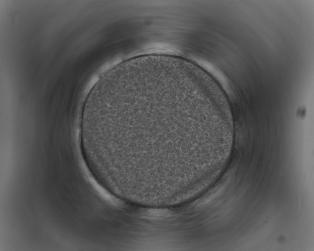 X0000101701383200808071148