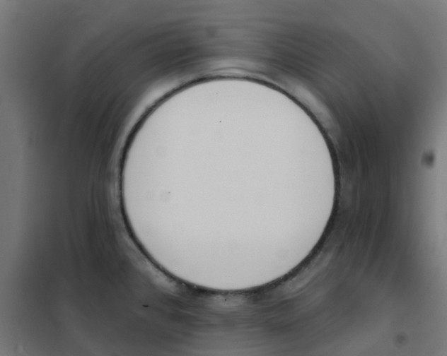 X0000101701384200808071148