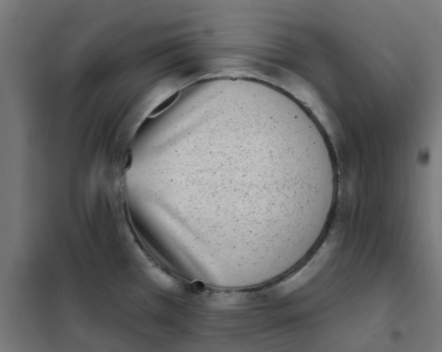 X0000101701385200808071148