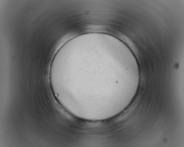 X0000101701386200808071148