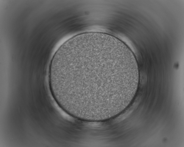 X0000101701387200808071148