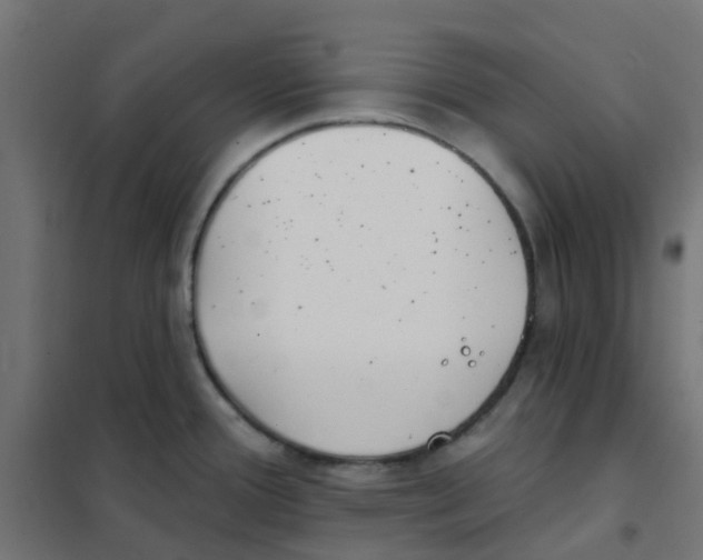 X0000101701388200808071148