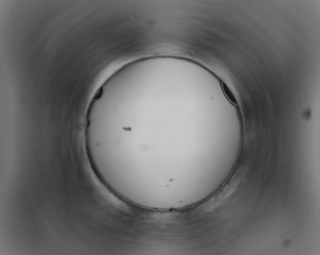 X0000101701389200808071148