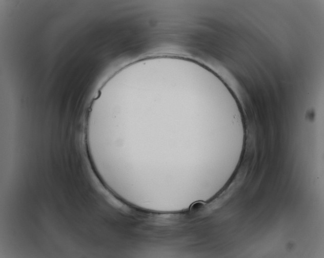 X0000101701390200808071148