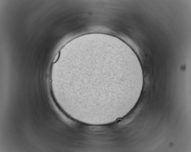 X0000101701391200808071148