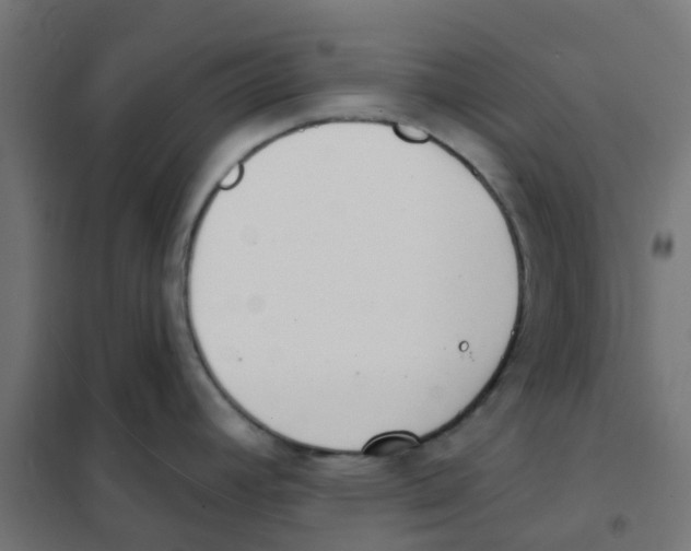 X0000101701392200808071148