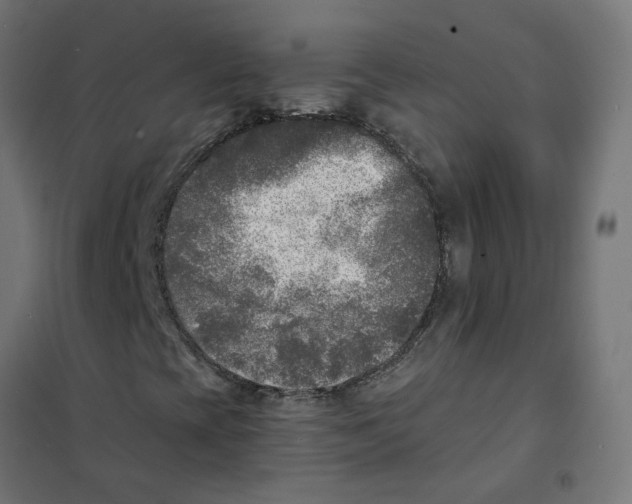 X0000101701393200808071147