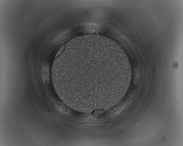 X0000101701394200808071147