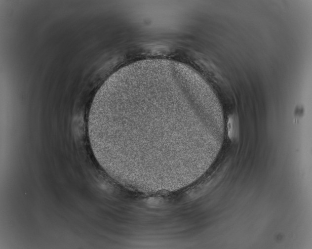 X0000101701395200808071147