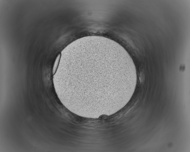 X0000101701396200808071147