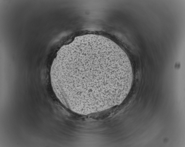 X0000101701398200808071147