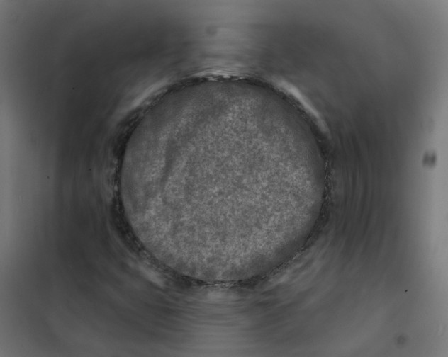X0000101701399200808071147