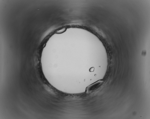 X0000101701400200808071147