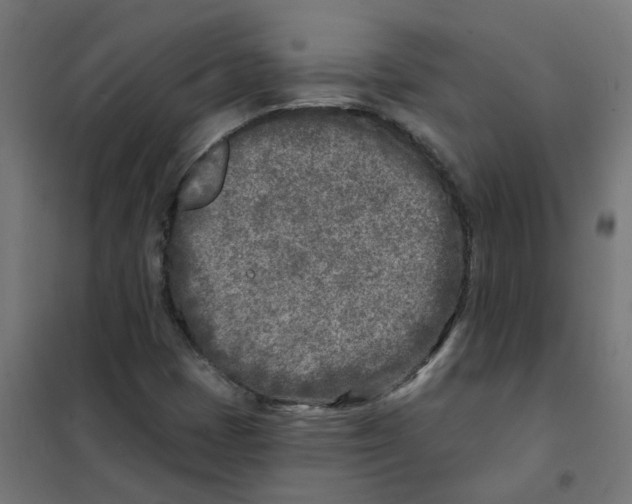 X0000101701401200808071147
