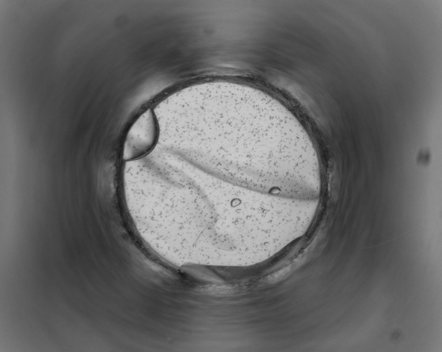X0000101701402200808071147