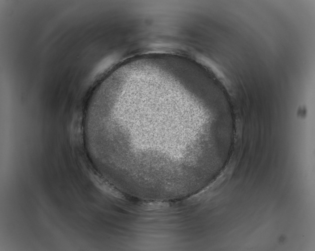 X0000101701403200808071147