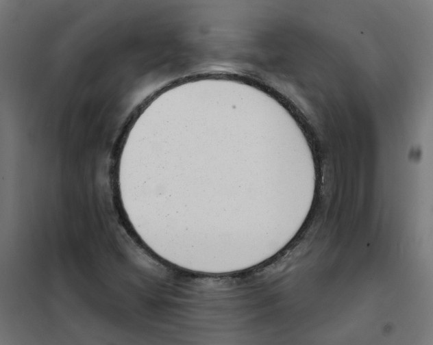 X0000101701404200808071147