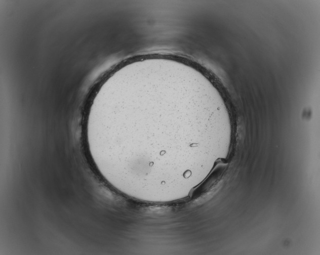 X0000101701406200808071147