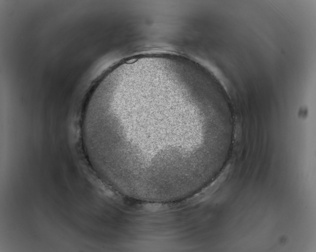 X0000101701407200808071147