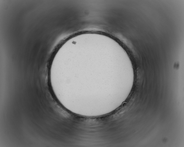 X0000101701408200808071147
