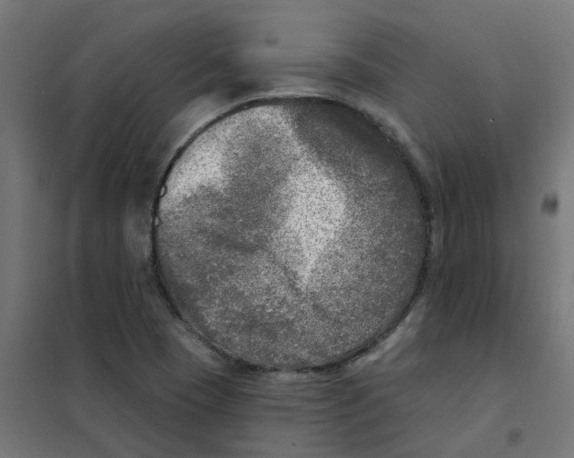 X0000101701409200808071147