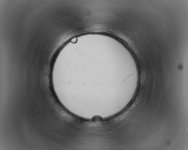 X0000101701410200808071147