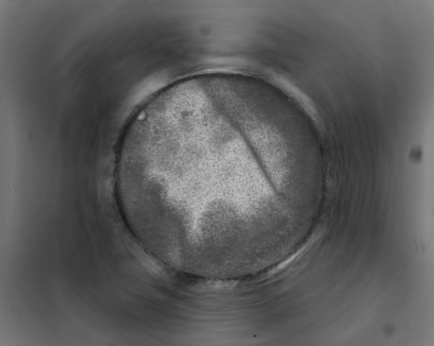 X0000101701411200808071147