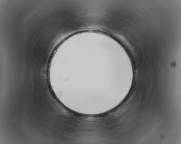 X0000101701412200808071147