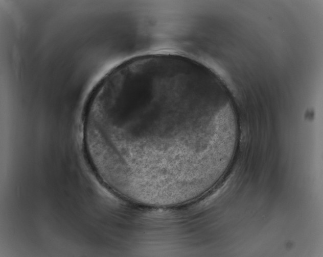 X0000101701414200808071147