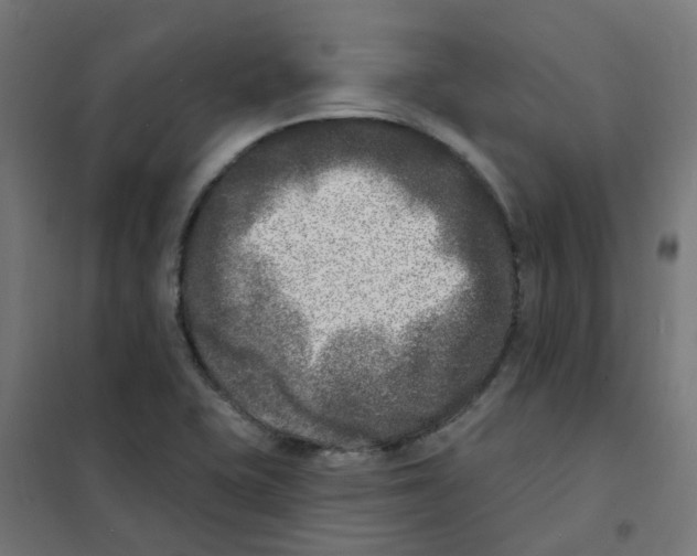 X0000101701415200808071147