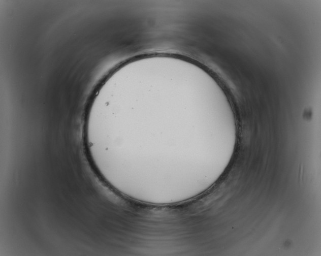 X0000101701416200808071147