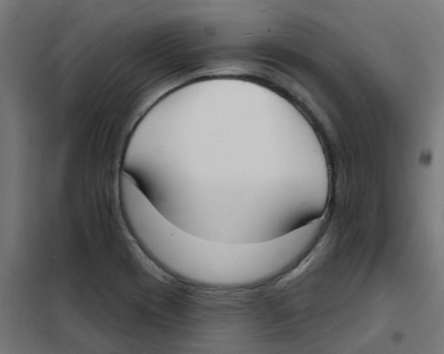 X0000101701417200808071148