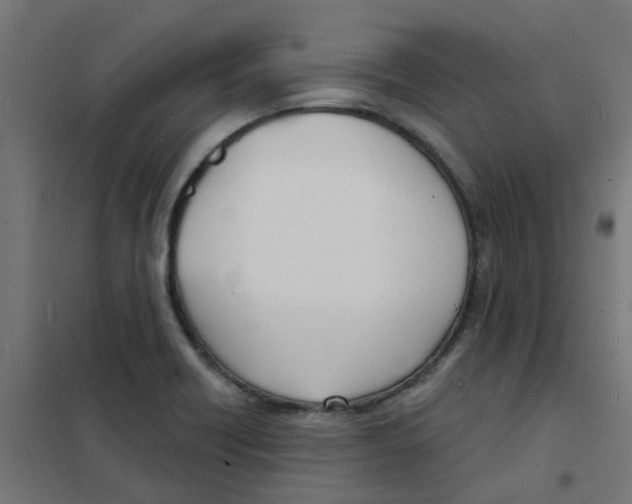 X0000101701418200808071148