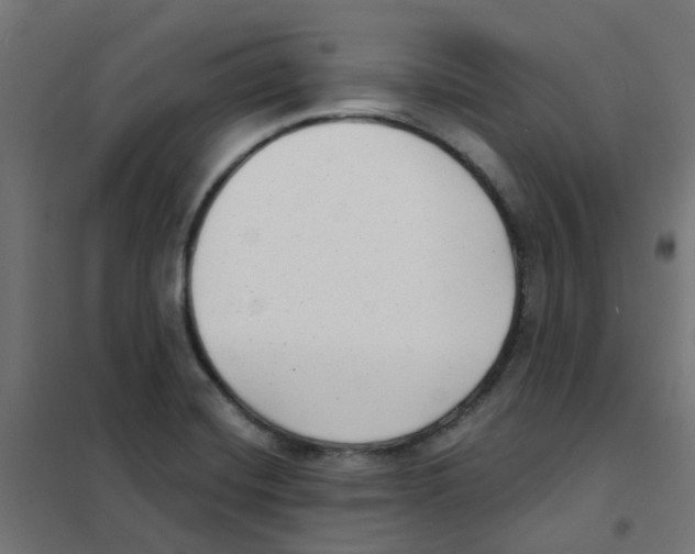 X0000101701420200808071148