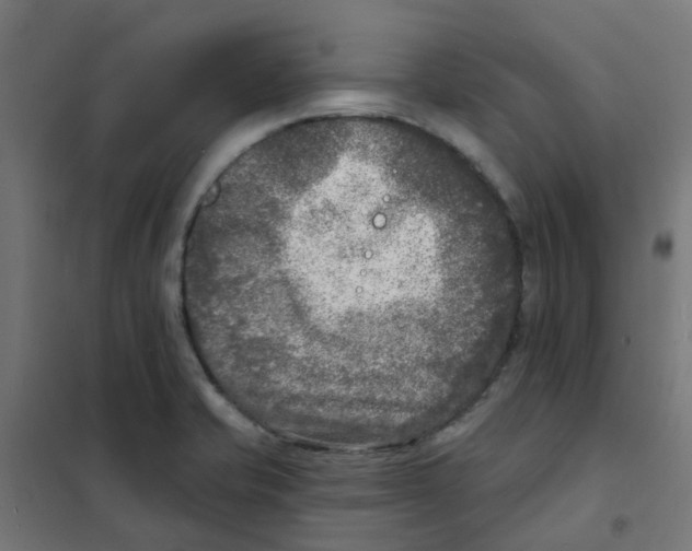 X0000101701421200808071148
