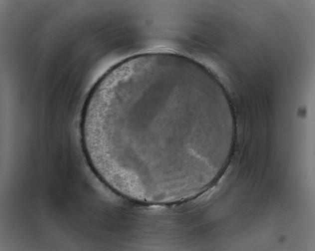 X0000101701422200808071148