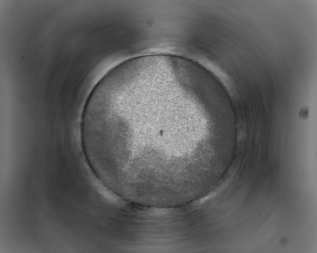 X0000101701423200808071148
