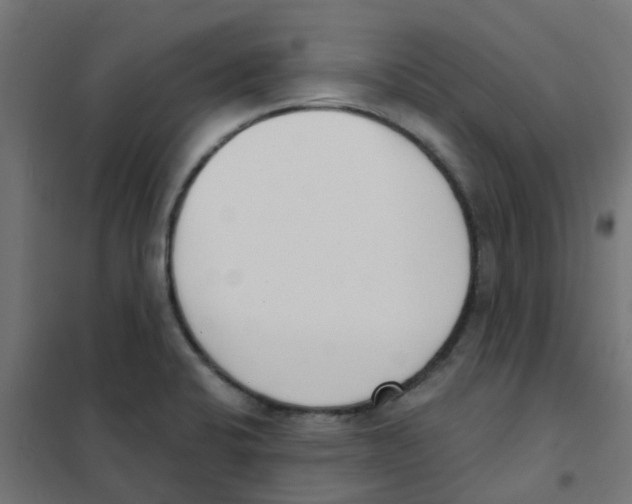 X0000101701424200808071148
