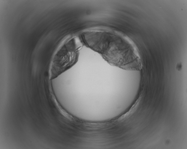 X0000101701425200808071148