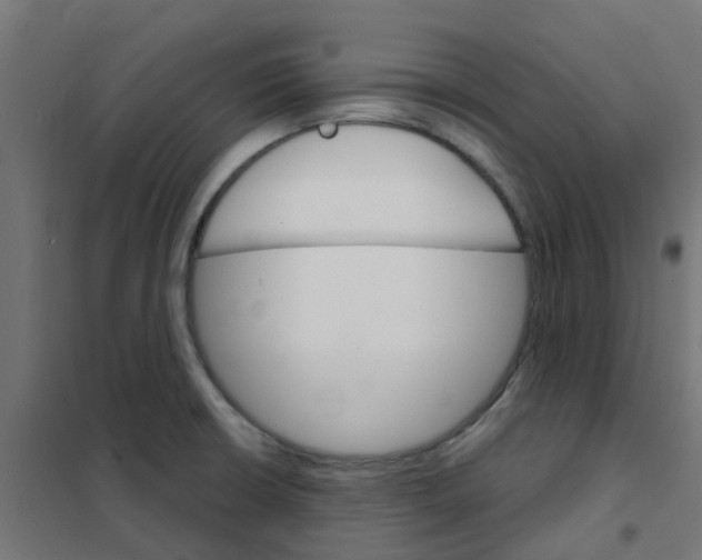 X0000101701426200808071148