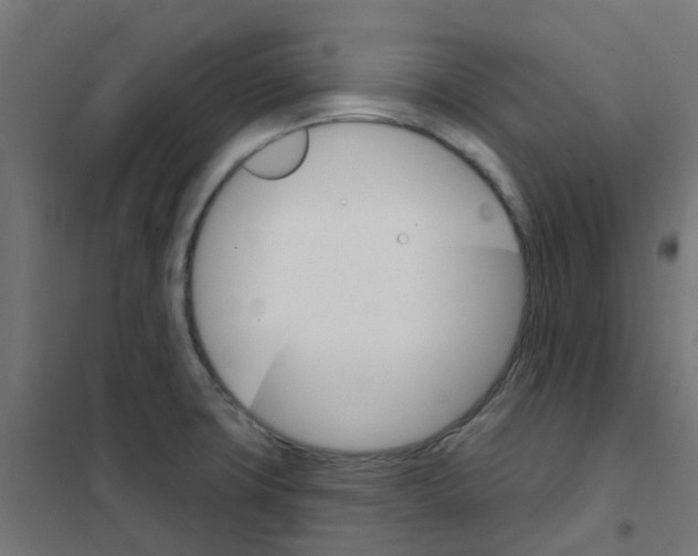 X0000101701427200808071148